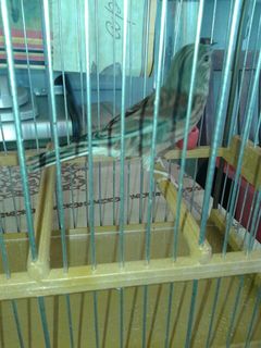 IMG-20150128-WA0028.jpg