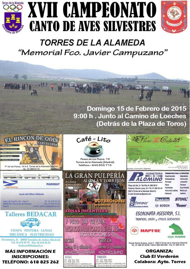 CARTEL CONCURSO TORRES 2015.jpg