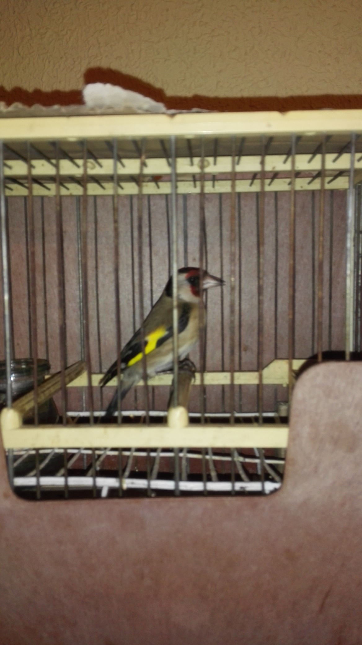IMG_20150215_003758.jpg
