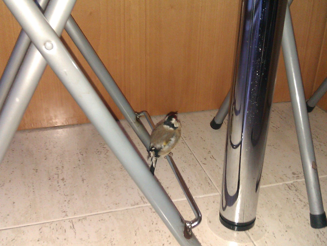 IMAG0010.jpg