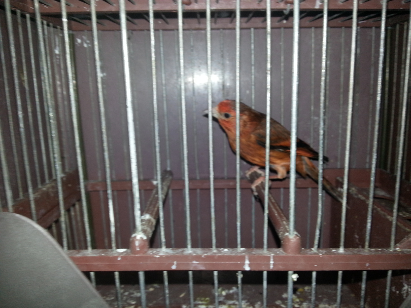 20150215_190918.jpg