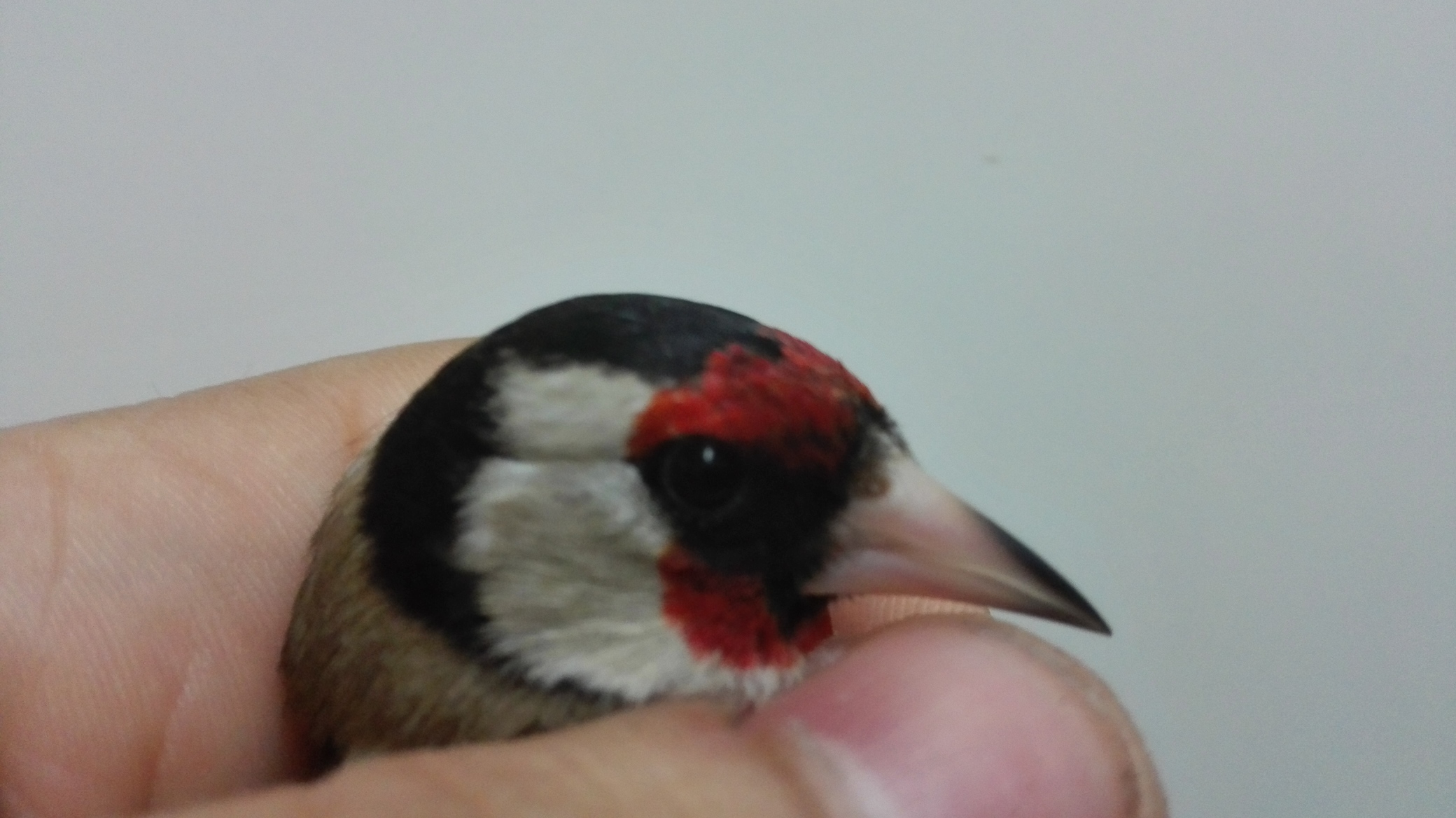 IMG_20150224_200538.jpg