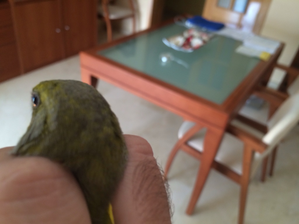 image.jpg