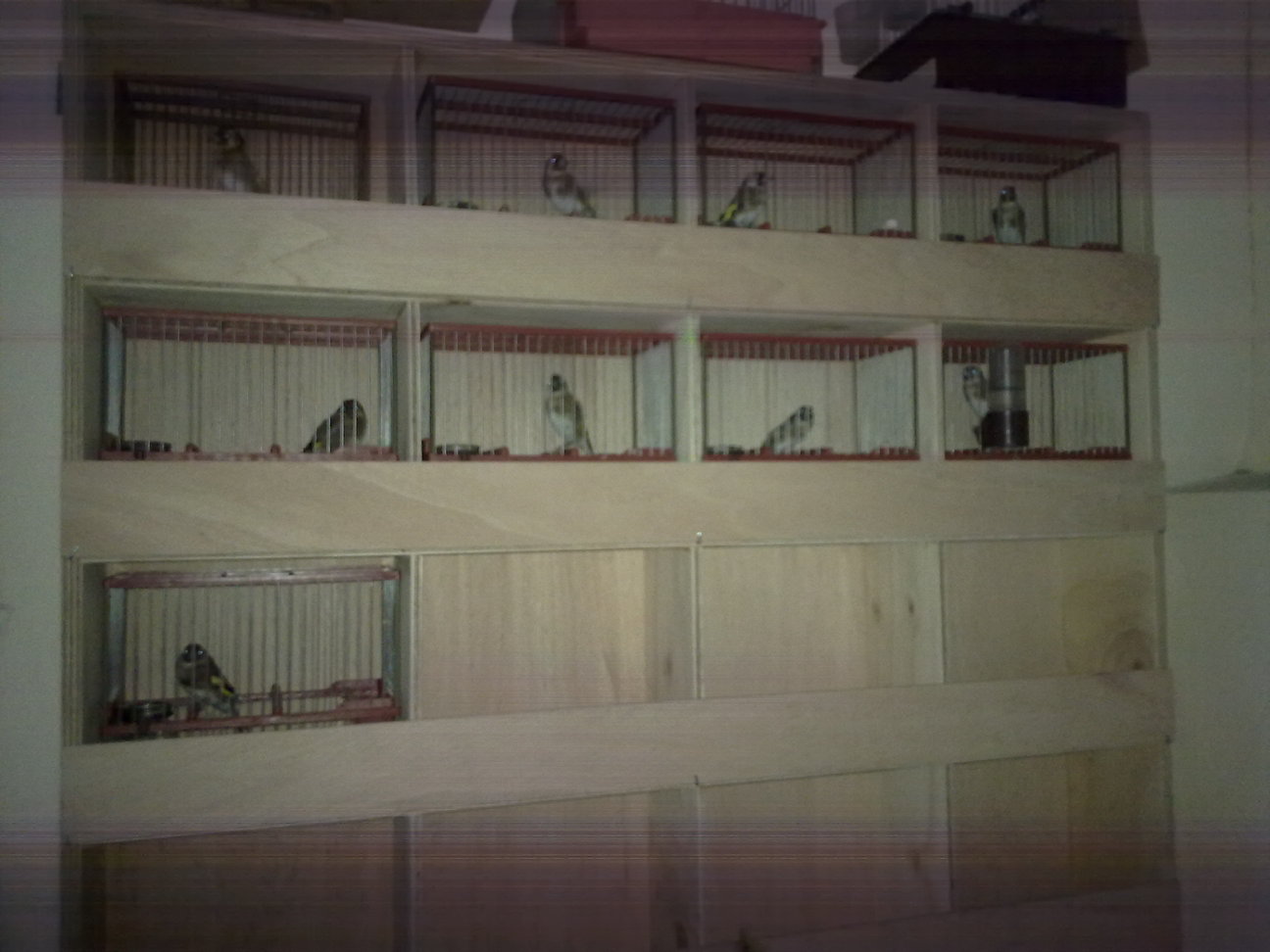 26112010144.jpg
