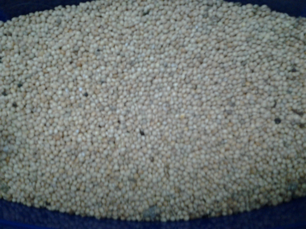 20150305_183904.jpg