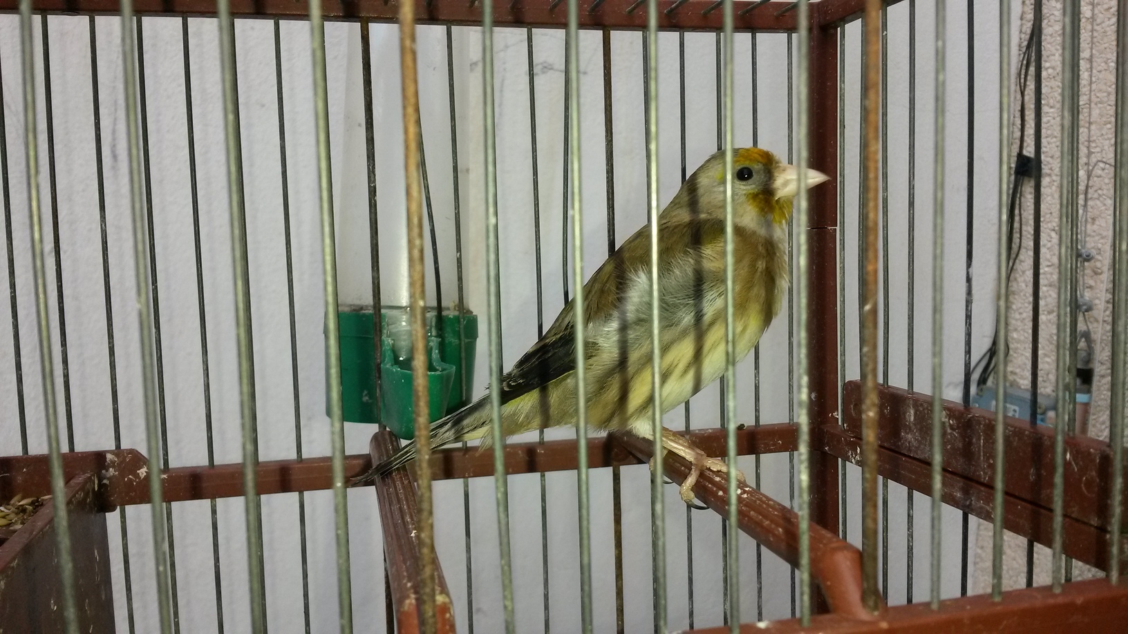 20150225_165512.jpg