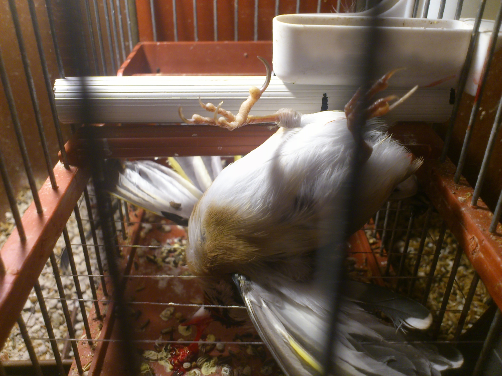 2012-12-11 18.06.32.jpg