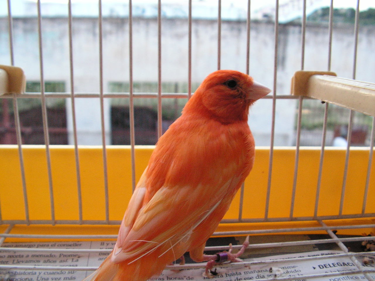 PICT0201.JPG