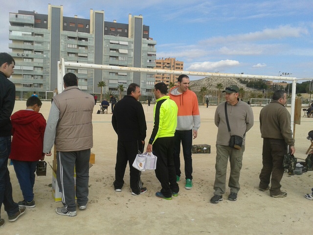 ALICANTE JILGUERO 2.jpg