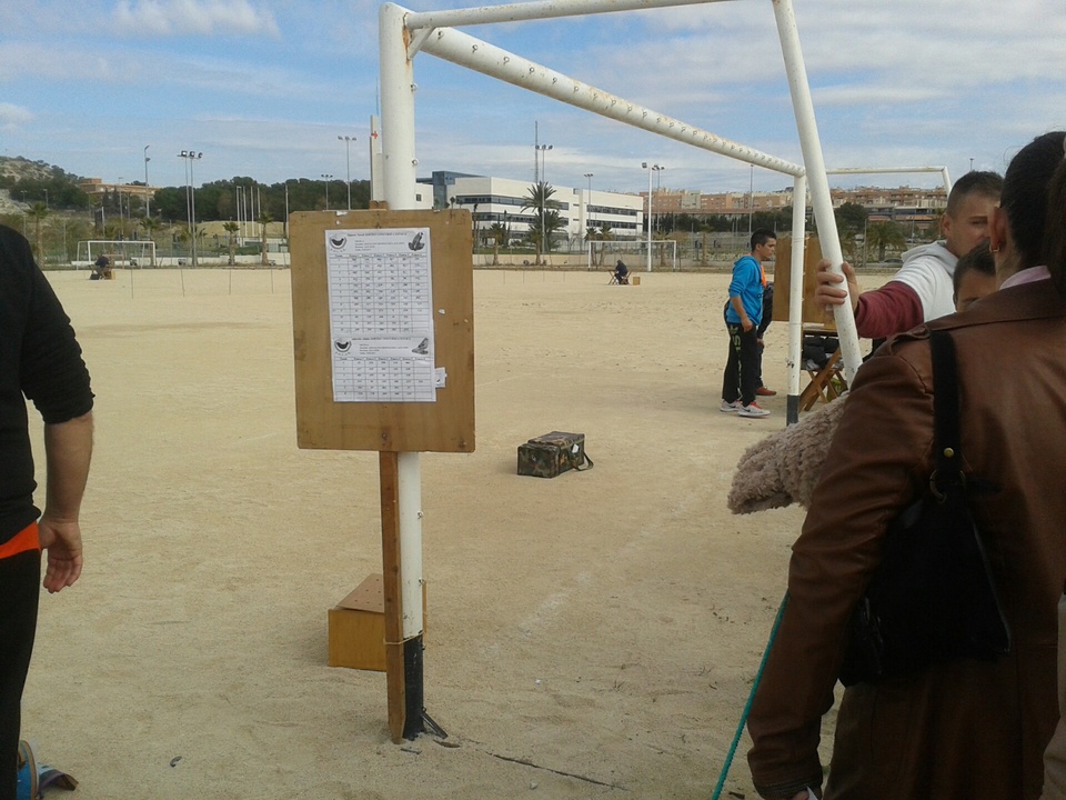 ALICANTE JILGUERO TABLILLA.jpg