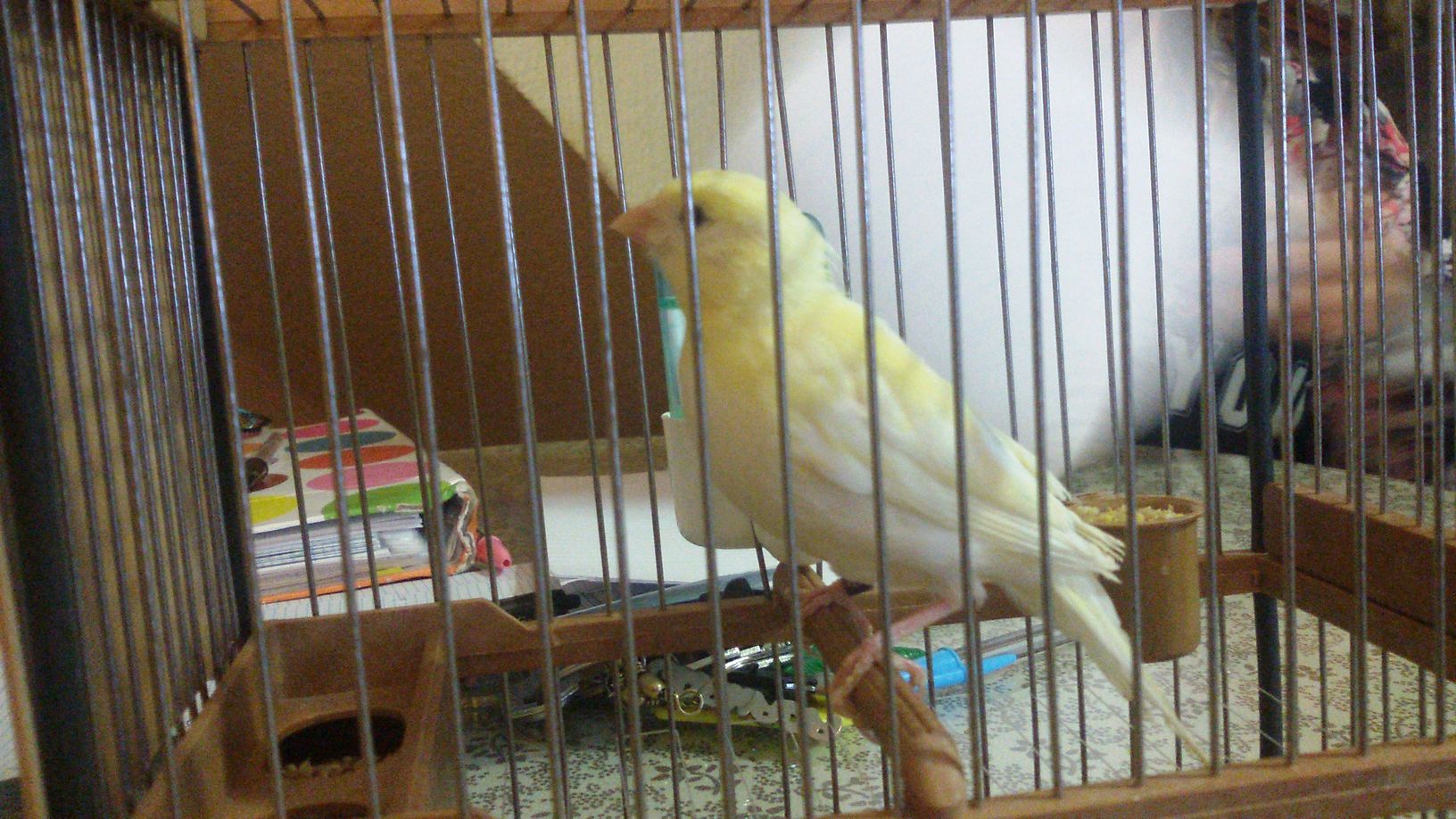 IMG-20150322-WA0012.jpeg