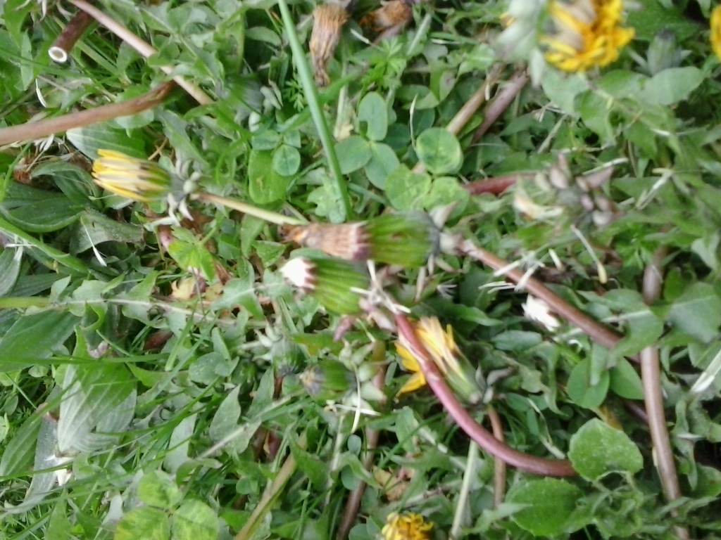 20150406_104130.jpg