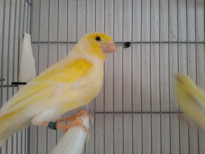 20150420_120136.jpg