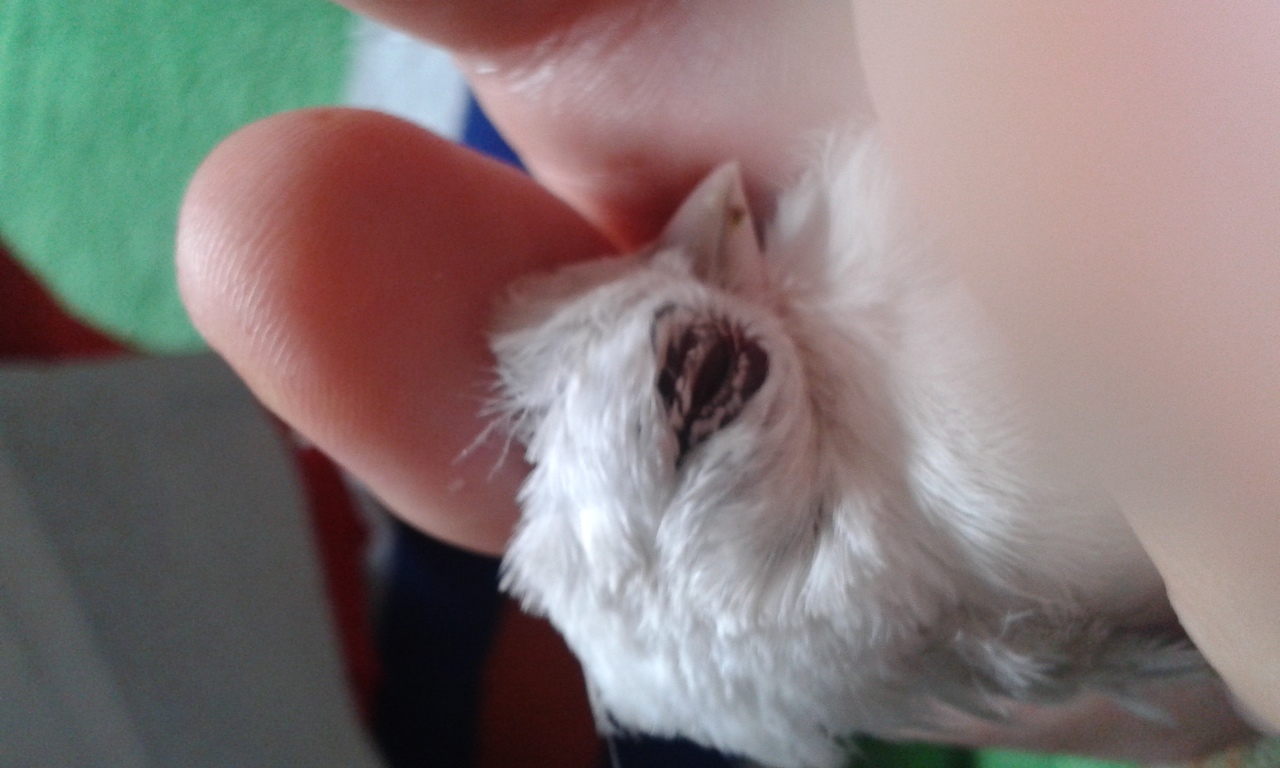 20150421_092457.jpg