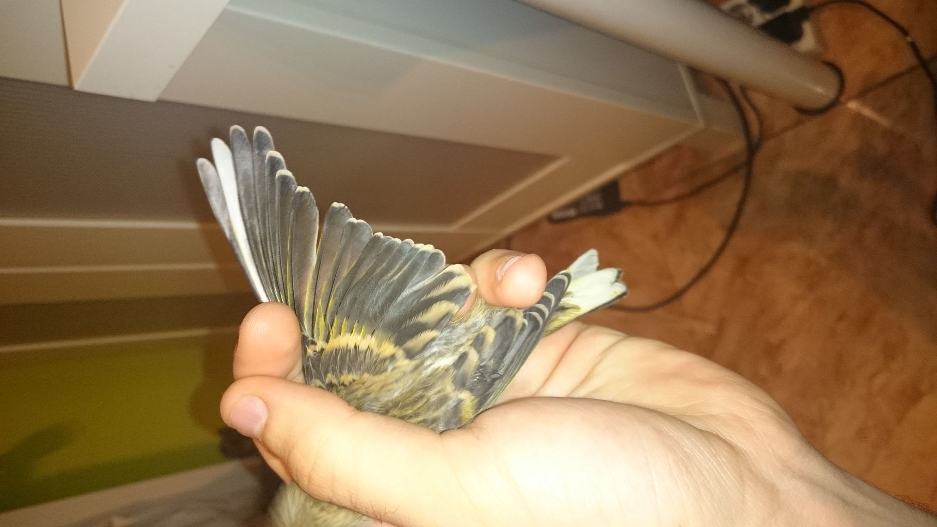 DSC_6366.JPG