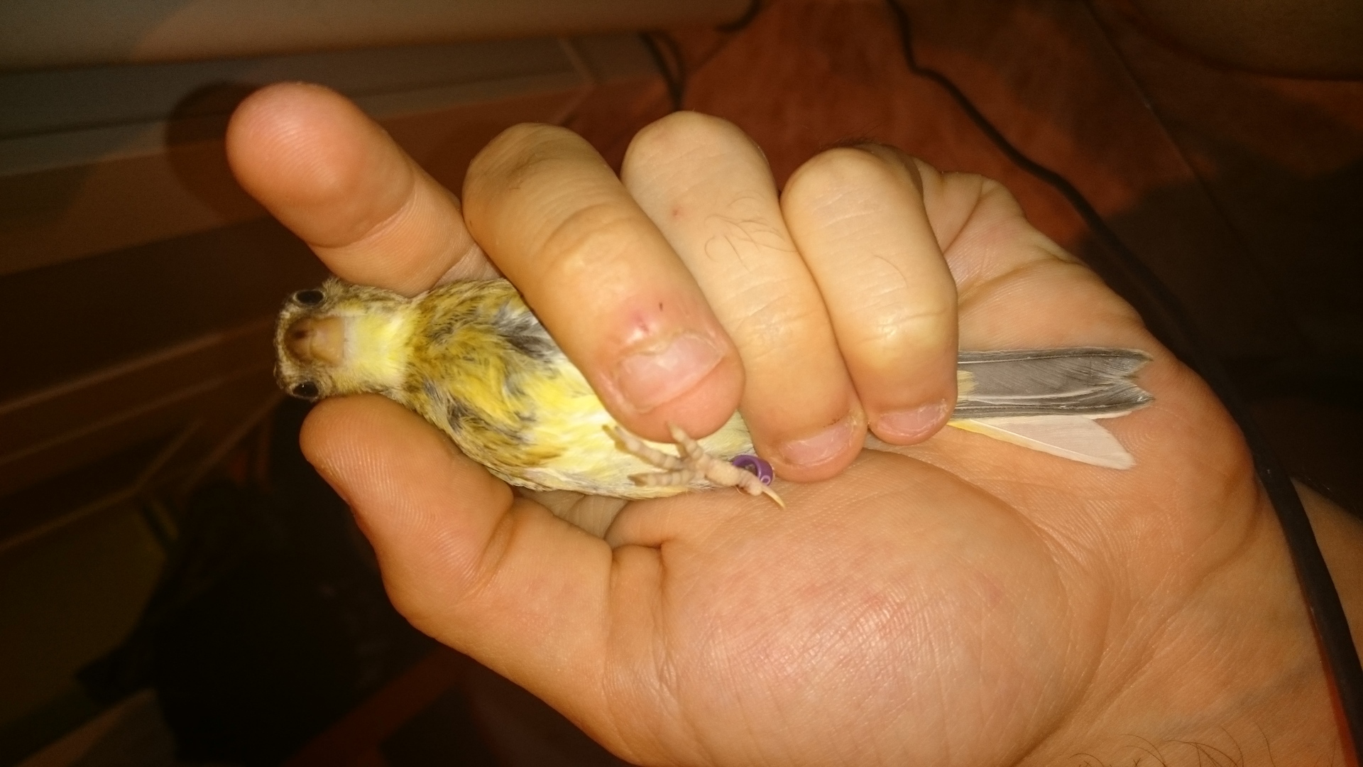 DSC_6368.JPG