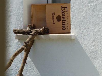 P1030731.JPG