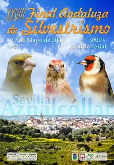 Final_del_Campeonato_de_Andalu.jpg