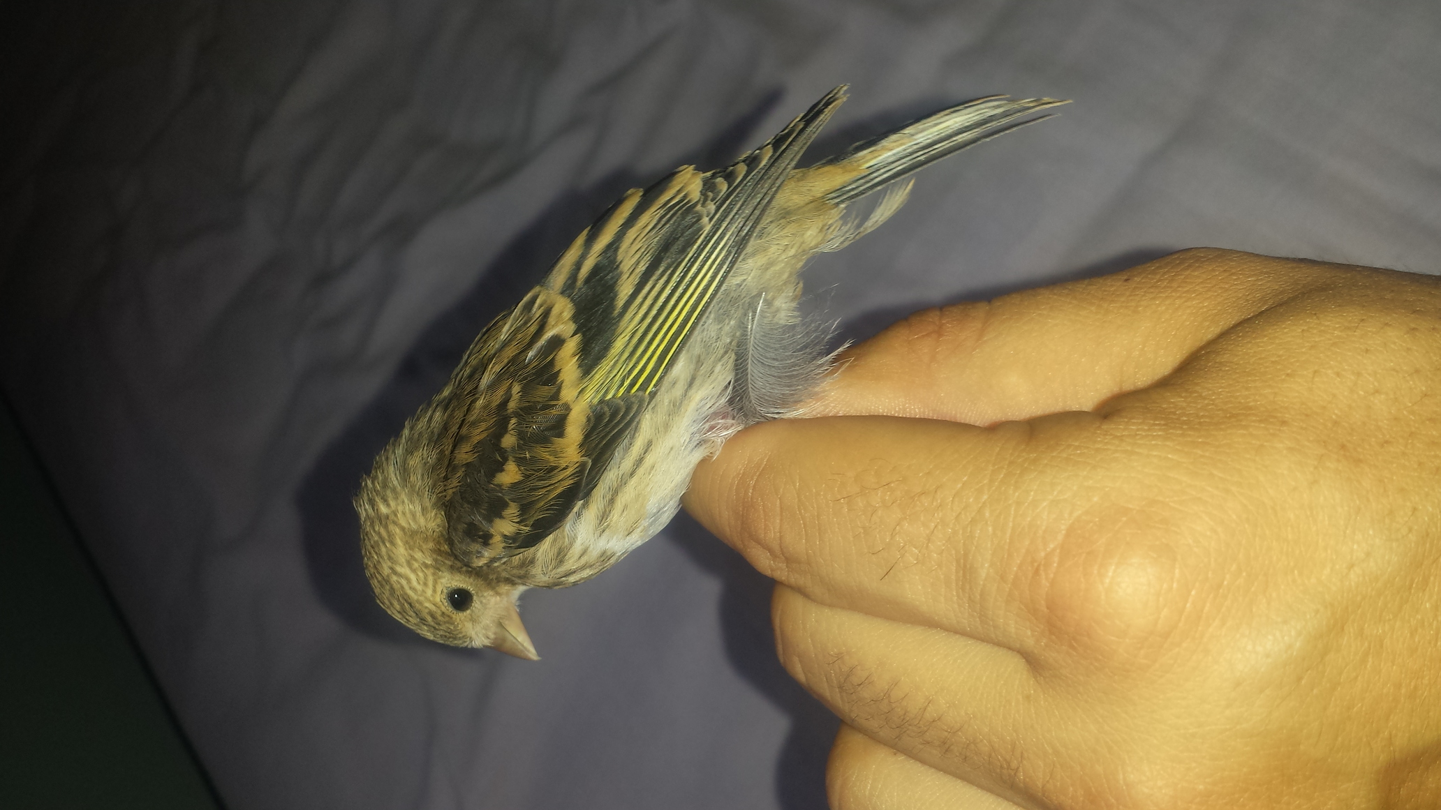 20150513_164534.jpg