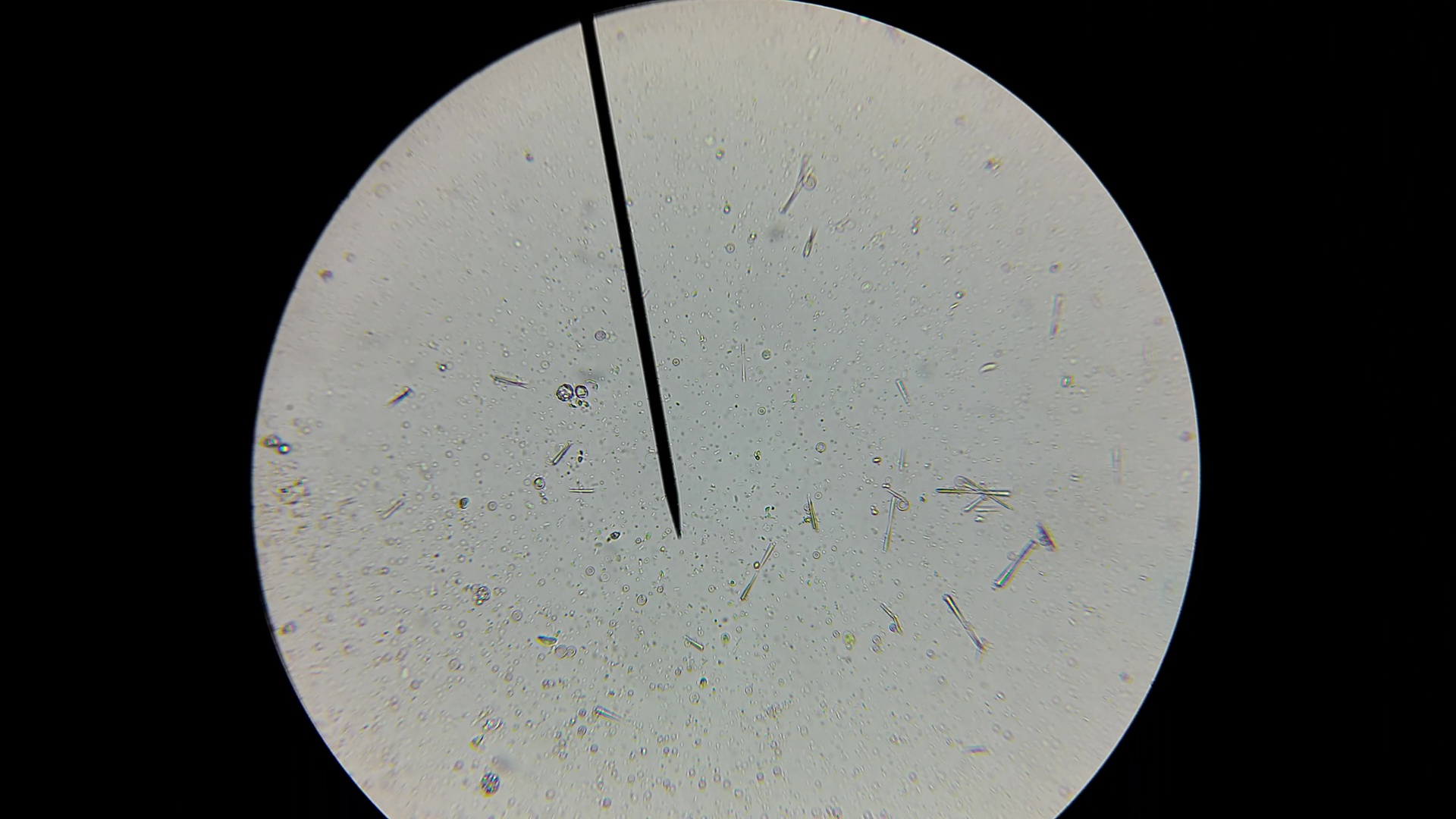 vlcsnap-2015-05-14-13h50m05s889.jpg
