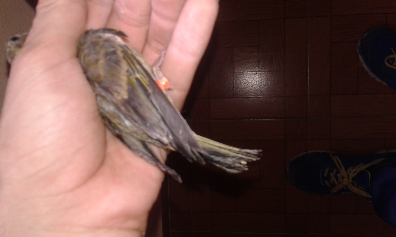 20150514_180526.jpg