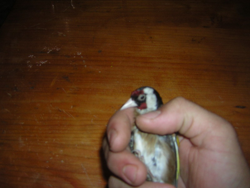DSCN2976.JPG