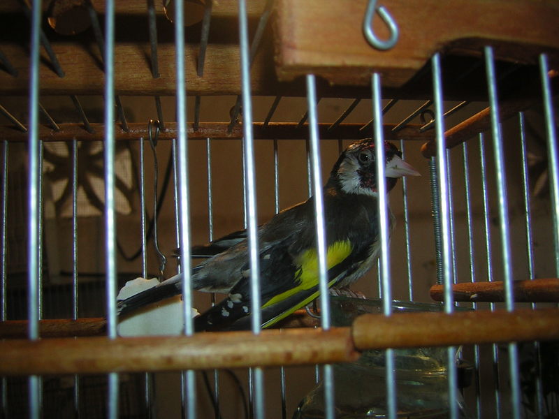 DSCN2989.JPG