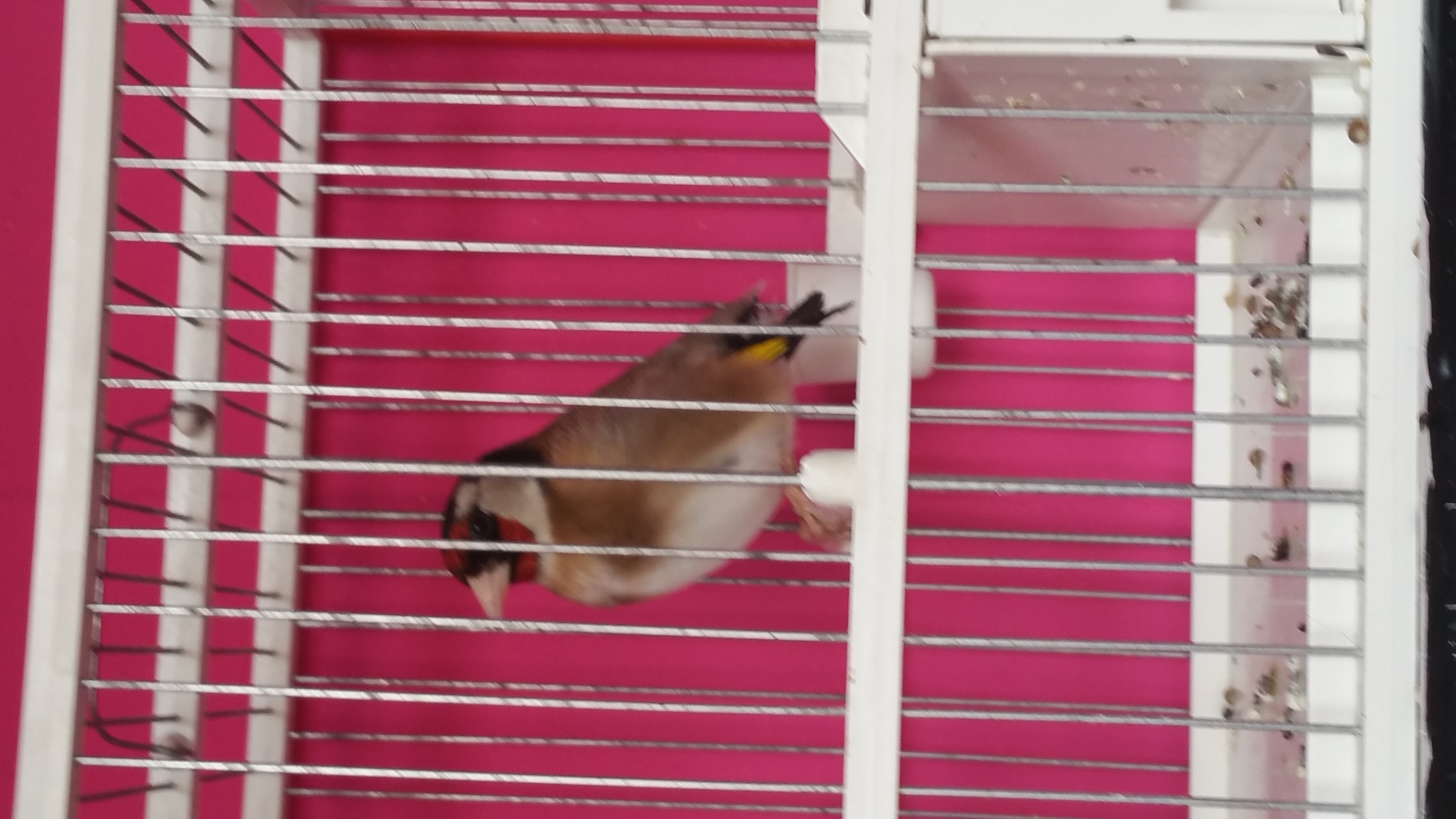 20150519_152137.jpg