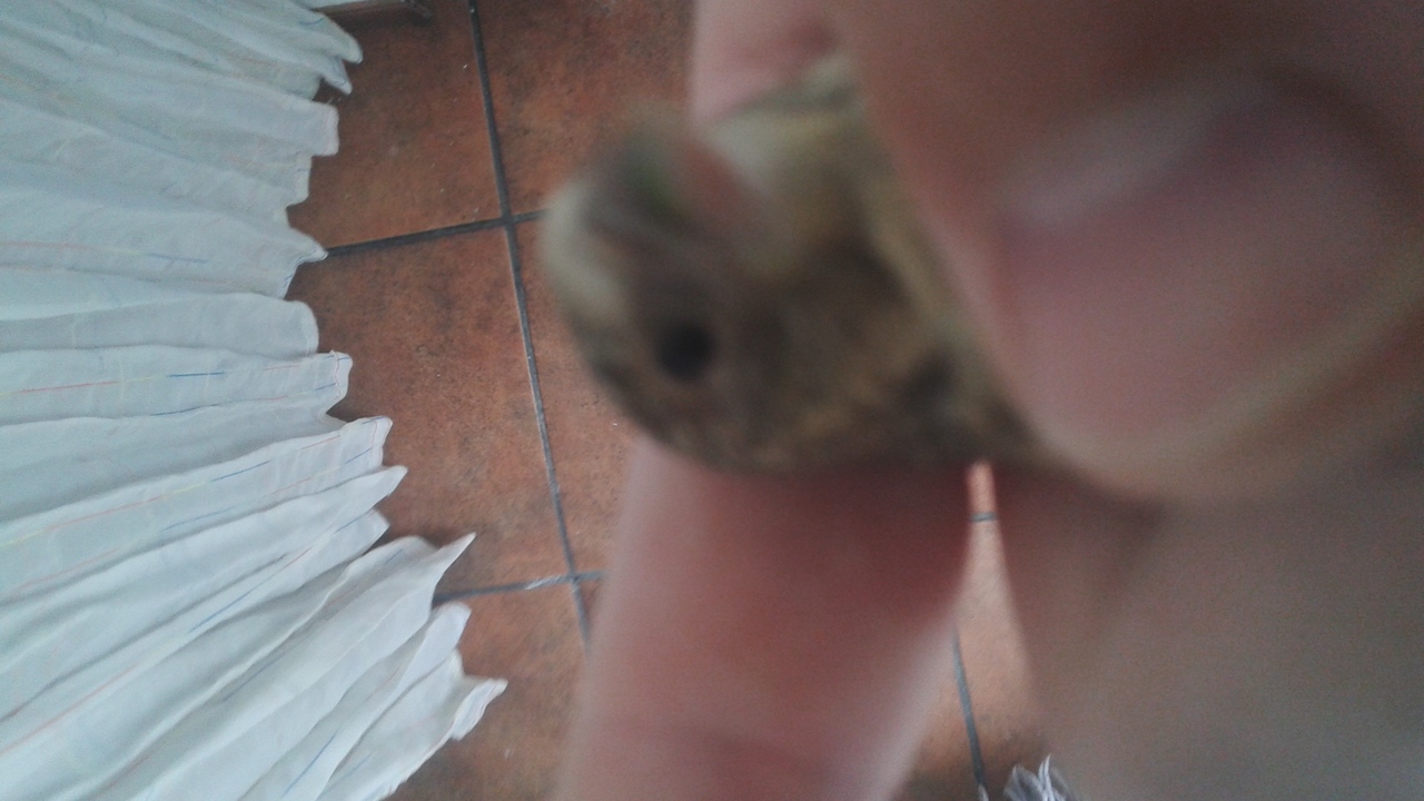 20150524_114304.jpg