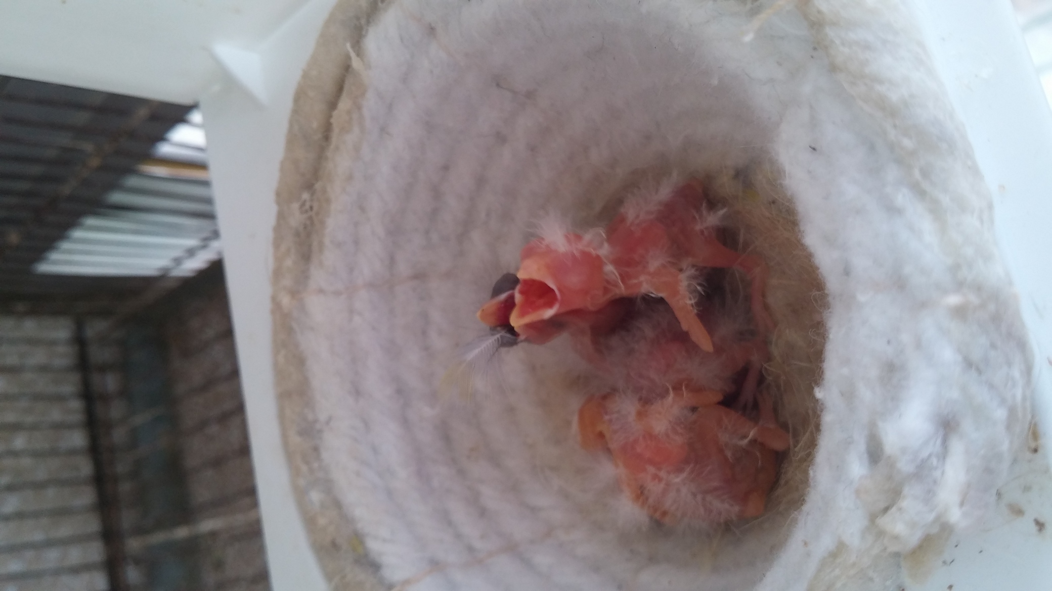 2015-05-23 13.09.13.jpg