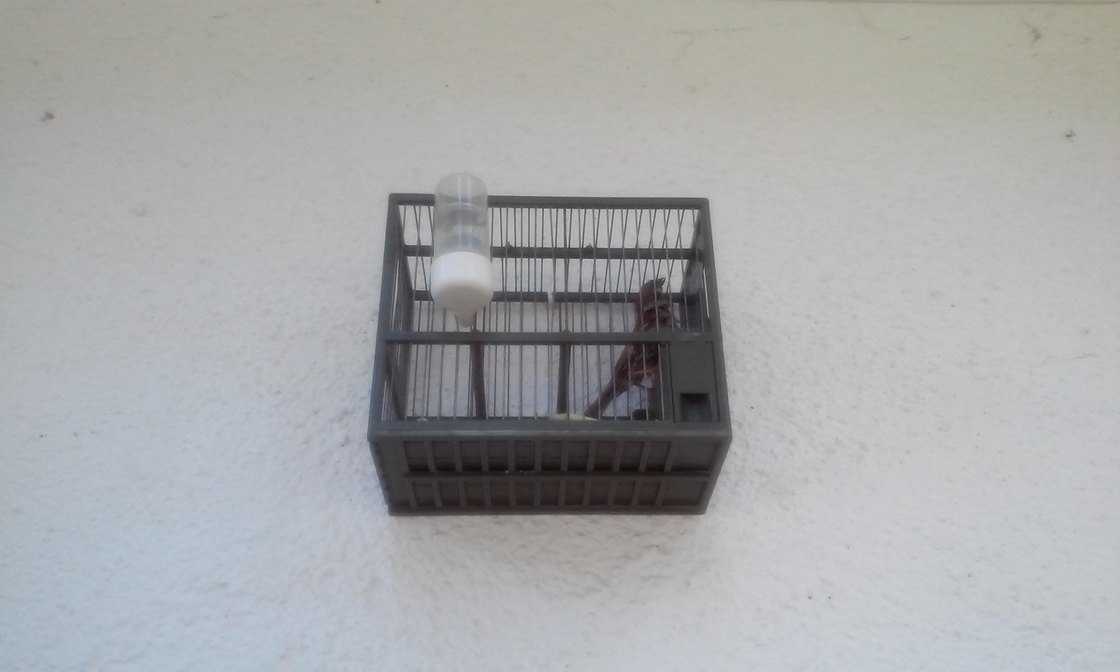 20150606_105219.jpg