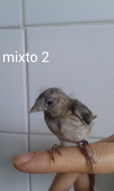 AddTextToPhoto(14-6-2015 4-12-23).jpg