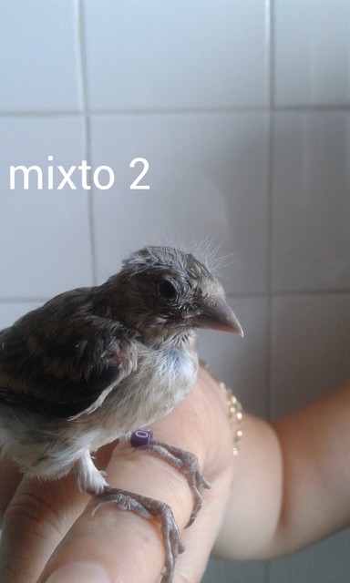 AddTextToPhoto(14-6-2015 4-11-37).jpg