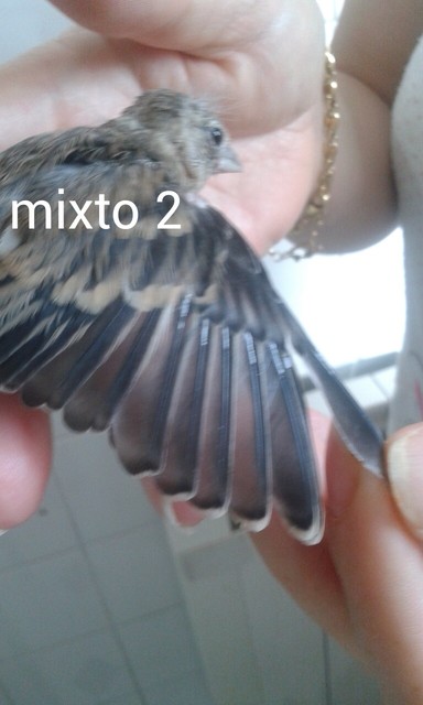 AddTextToPhoto(14-6-2015 4-10-46).jpg