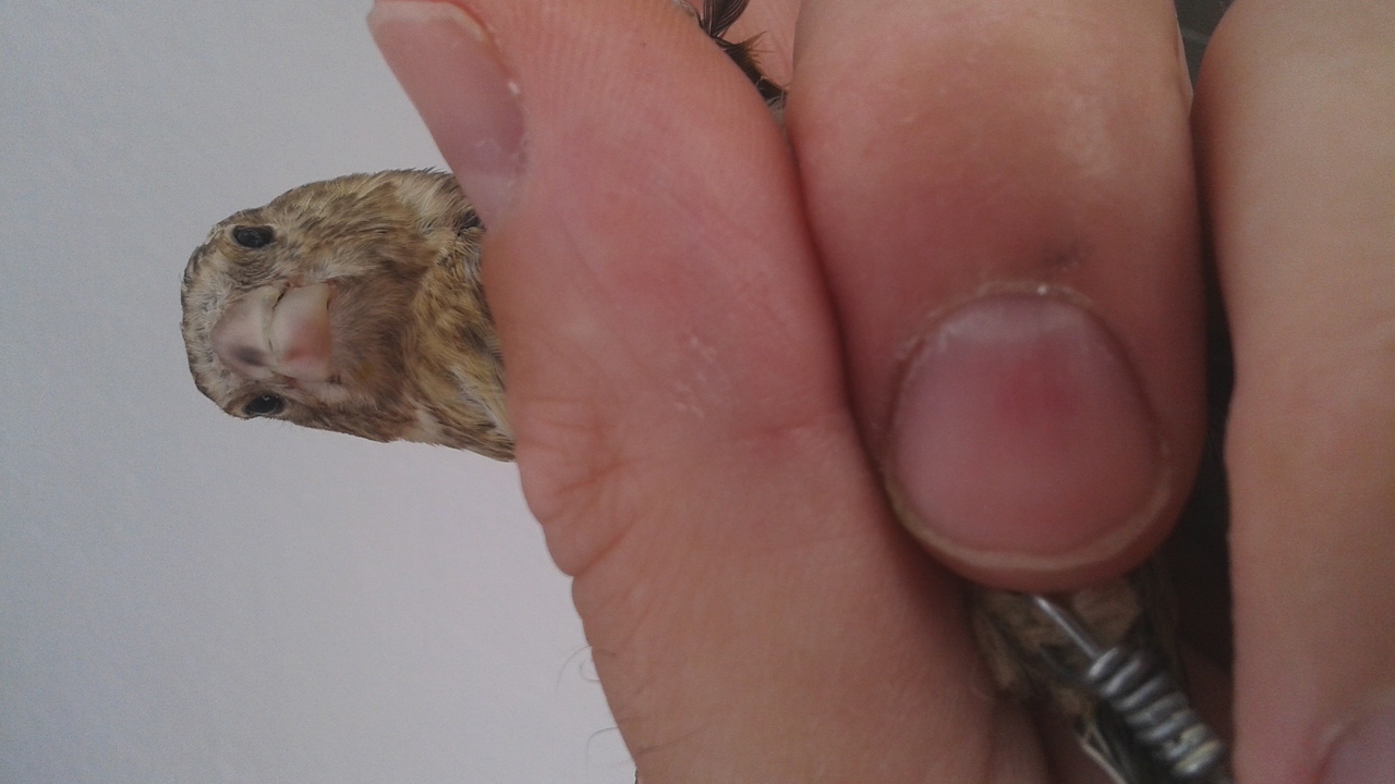 20150619_130455.jpg