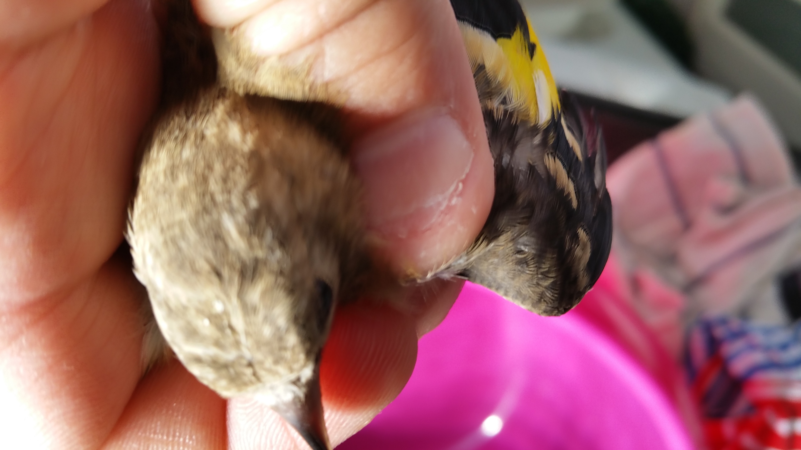 20150619_174443.jpg