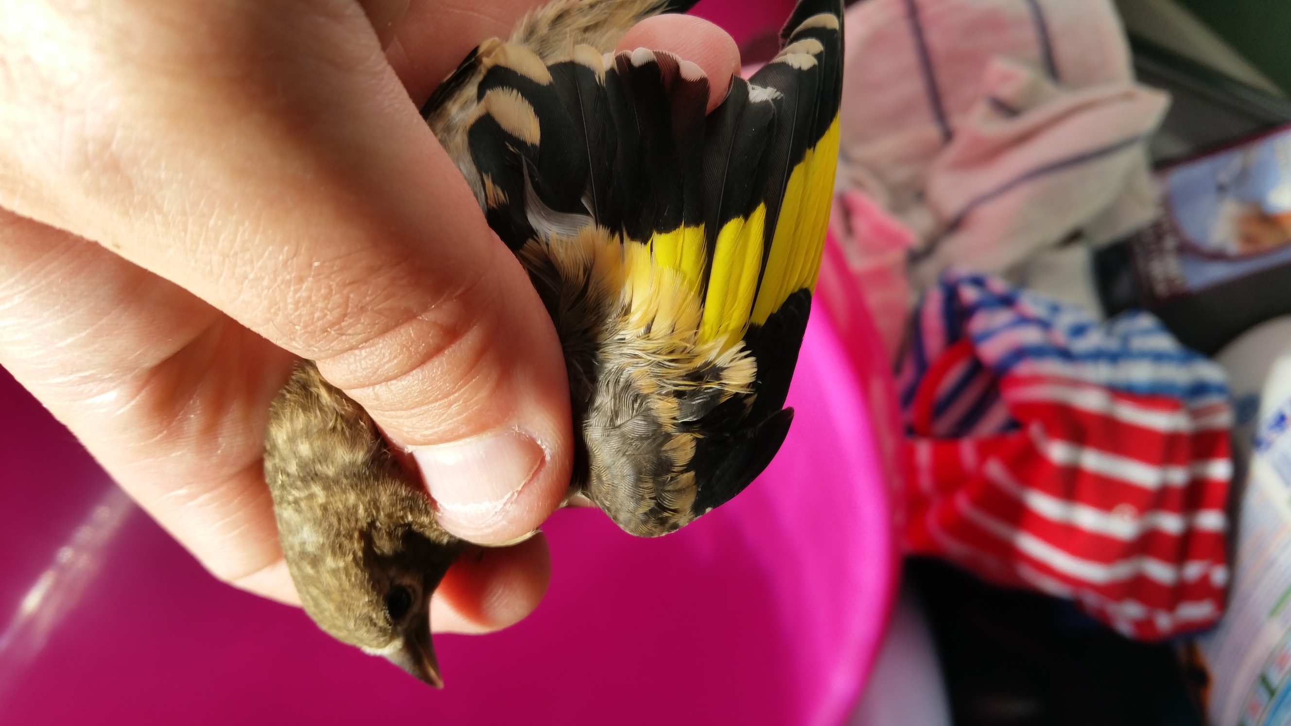 20150619_174545.jpg