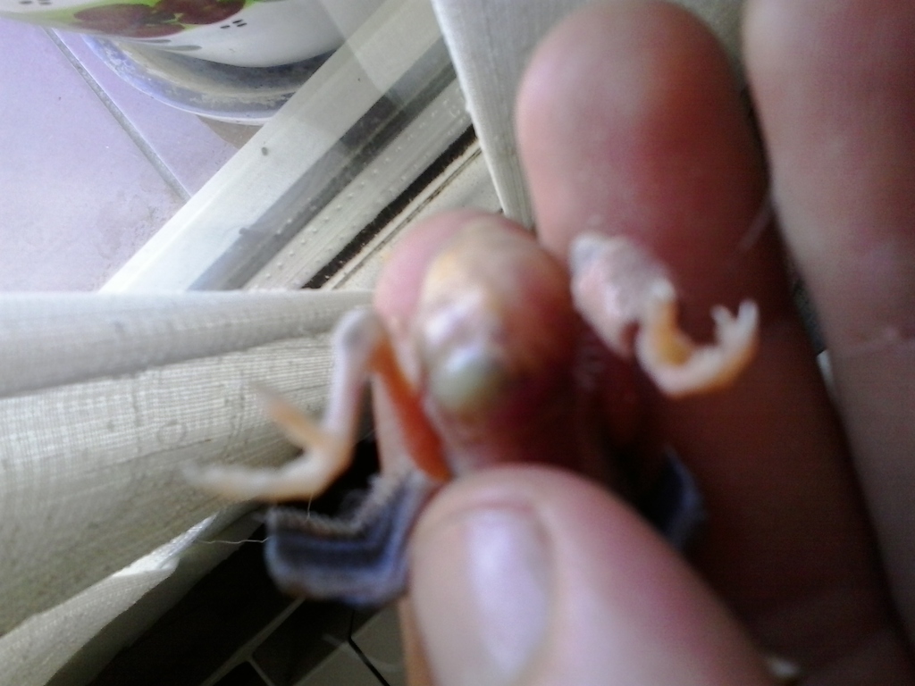 20150621_121013.jpg