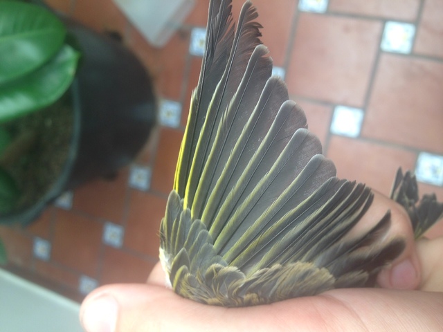 image1 (2).jpeg