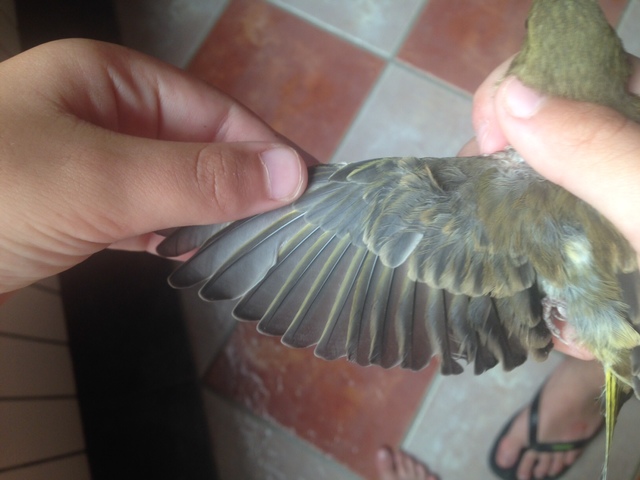 image3 (3).jpeg