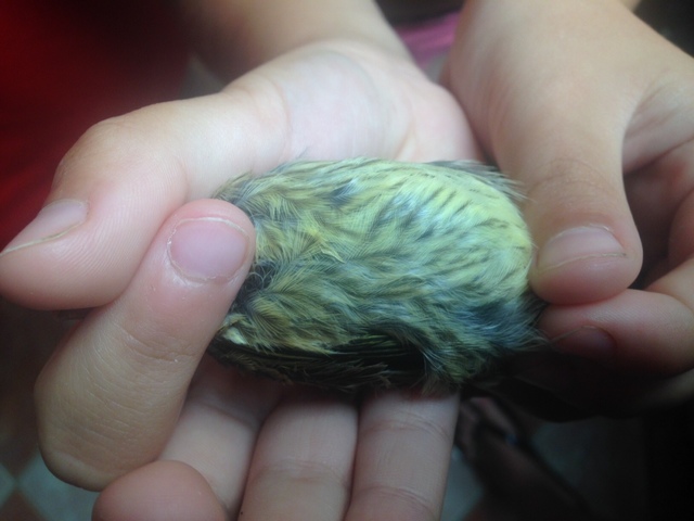 image4 (2).jpeg