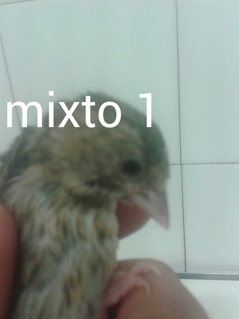 AddTextToPhoto(2-7-2015 7-59-1).jpg
