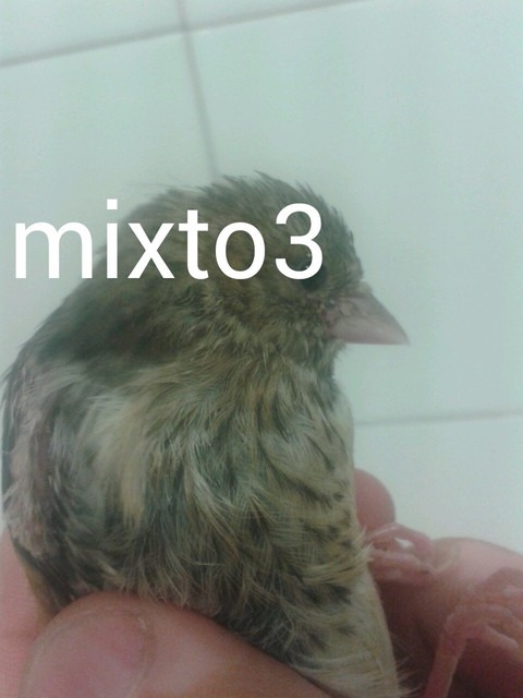 AddTextToPhoto(2-7-2015 8-2-10).jpg