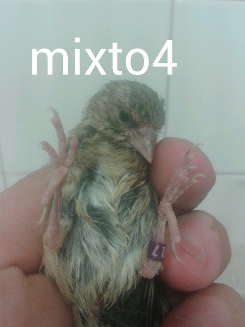 AddTextToPhoto(2-7-2015 8-8-30).jpg