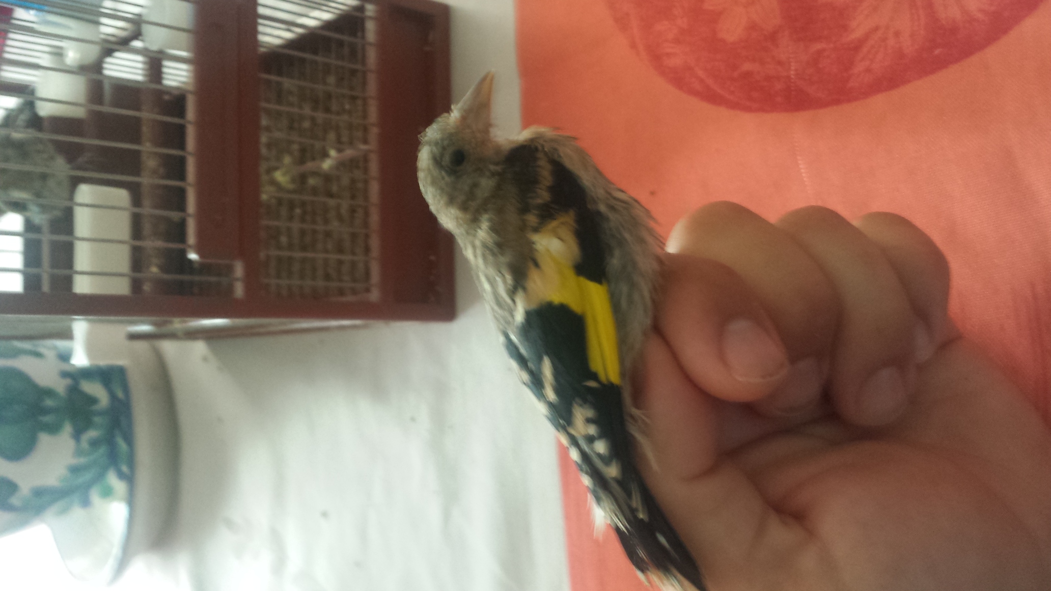 20150705_110028.jpg