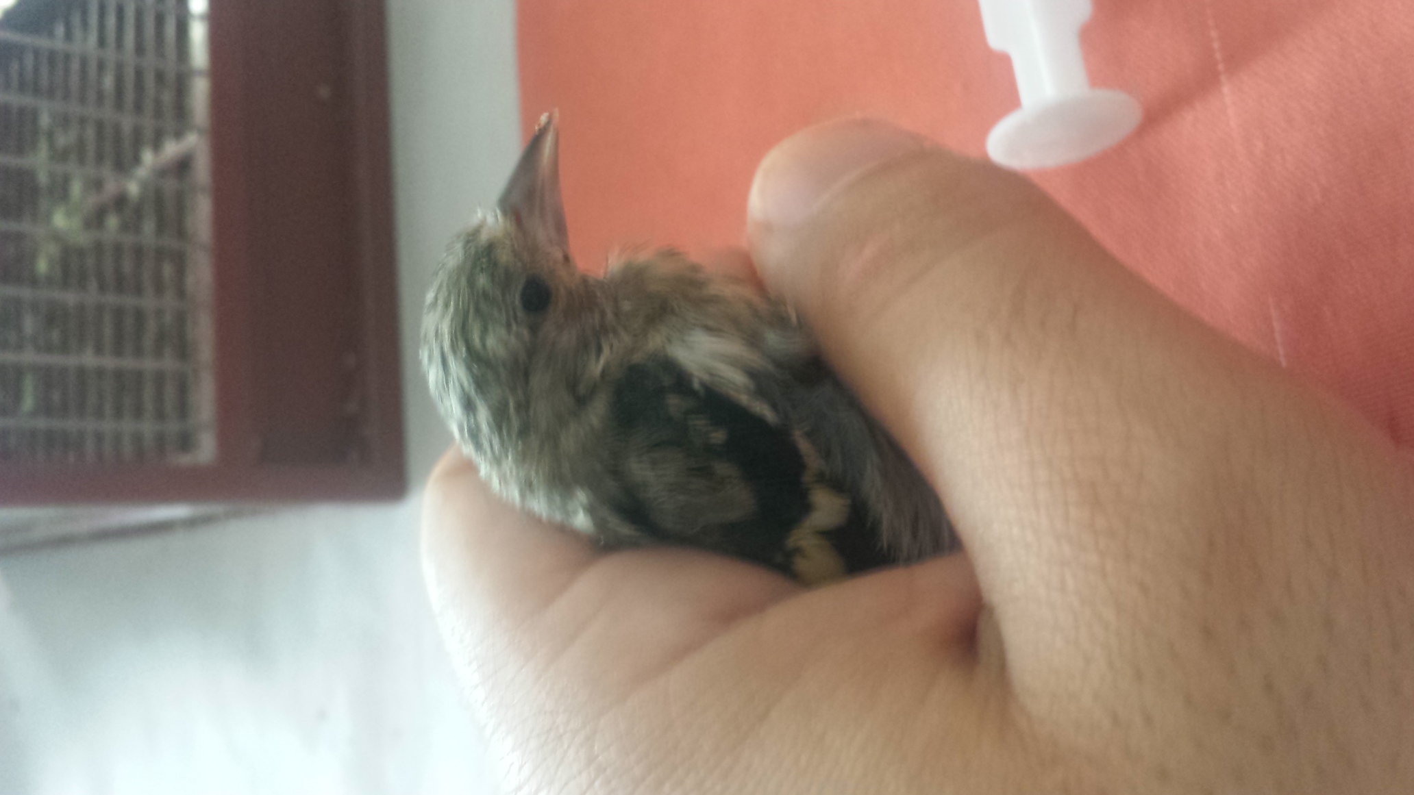 20150705_105851.jpg