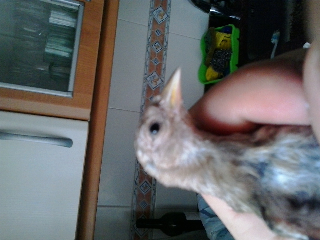 20150718_181957.jpg