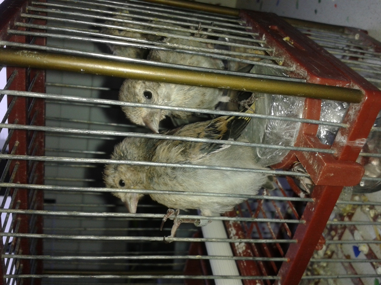 20150723_194309.jpg