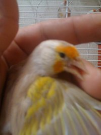 2730404762_1.jpg
