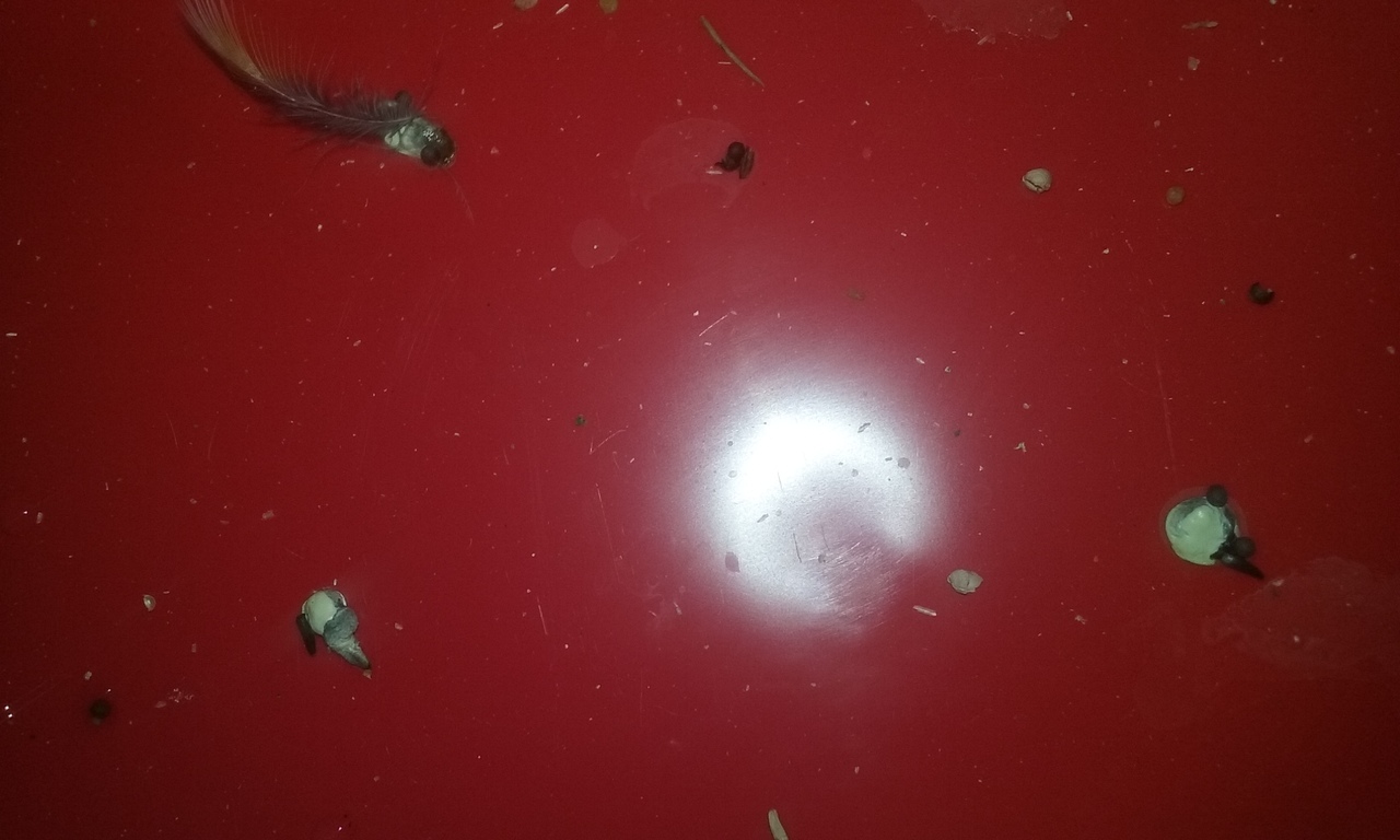 20150803_153047.jpg